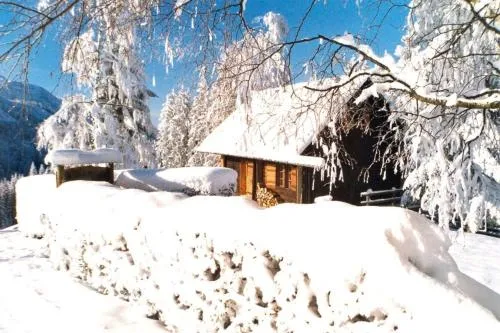 Ferienhütte Windlegern in Neukirchen, Österreich