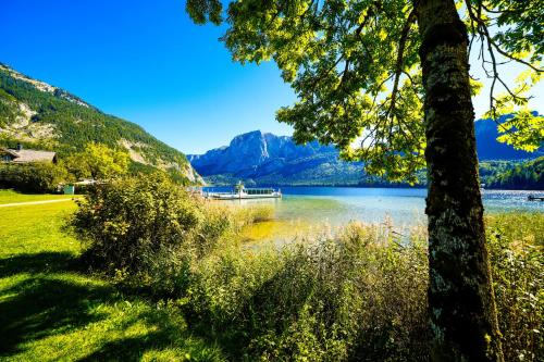 הסביבה הקרובה, Studio in Sonnenalm - Salzkammergut 37033 in באד מיטרנדורף