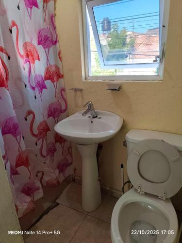 Bathroom, Arroyo Hondo in San José del Bajío