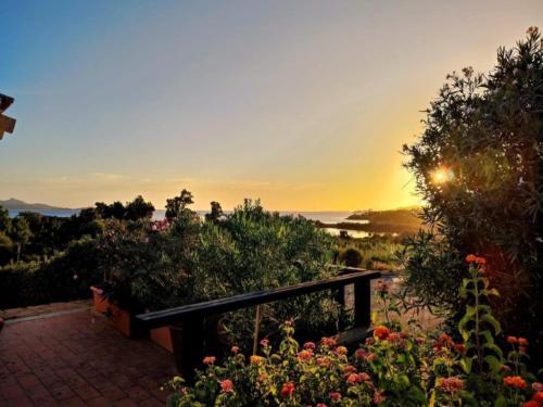 Bližnja okolica, 3-Person Relaxing Stay in Sardinia in Tanca Manna