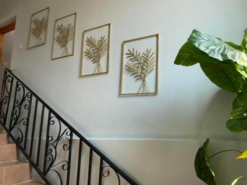 Villa Cassandra - image 3