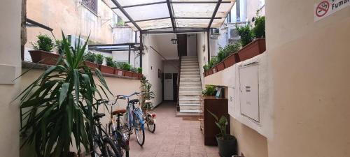 La maison b8 2