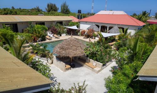 Blooming Zanzibar 2