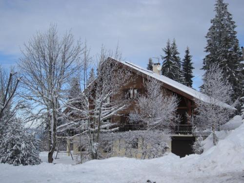 Ski, Spa, Sauna au Chalet Yarelle