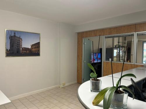 Parmigianino Apartments 5
