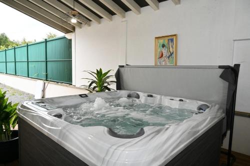 Les lavandes jolie maison avec spa
