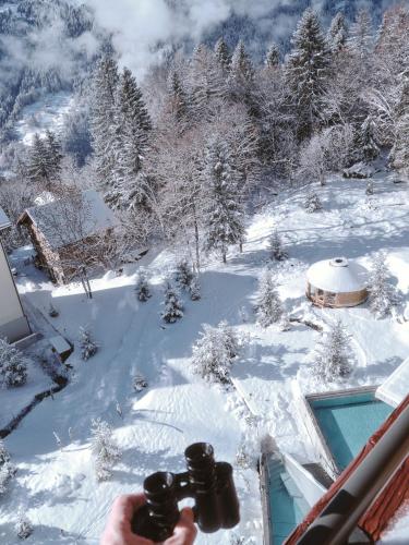 Hotel Belvédère - image 12