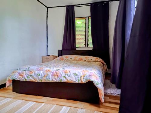 LOwayalailaiSTAY in Wayasewa Island