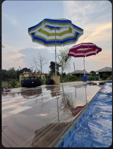 Vanraja Resorts and Cottages in Bheraghat