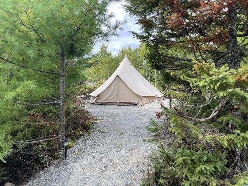 . Cozy Glamping Tent Idyllic for a Couples Getaway in Texas