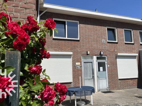 Knus appartement onderaan de duinen van Zoutelande in Zoutelande