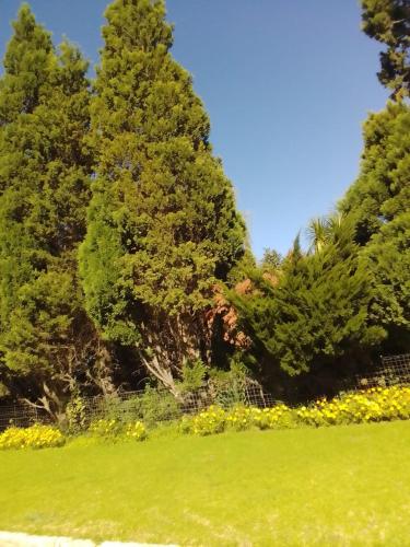 Estancia Overnight Accommodation in Petrus Steyn