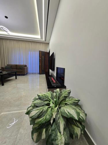 Family-Friendly 2 bedrooms spacious apartment - image 14