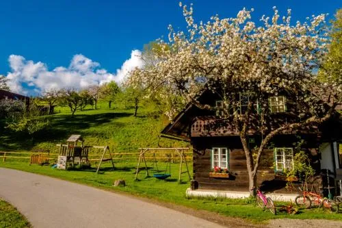 Haunzwickl Ferienhaus in Mürzzuschlag, Österreich