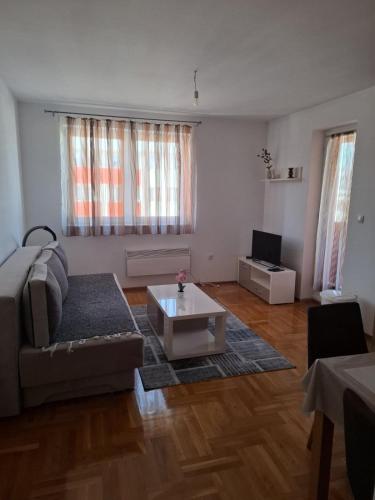 Apartman Pale centar