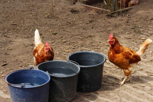 Van der Valk Hotel Apeldoorn - main image