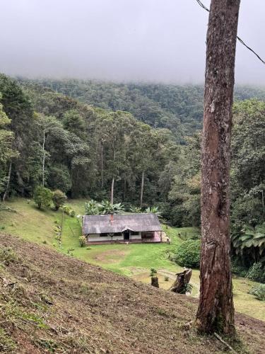 Finca Neblina del Bosque - Cerca a Dapa in Dapa