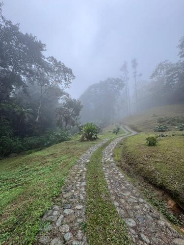 Finca Neblina del Bosque - Cerca a Dapa in Dapa