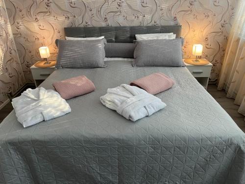 Hotel Ilomantsi North Star Room Type - Superior Studio