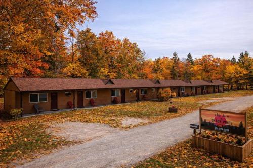 The Inn at Shady Pines 4