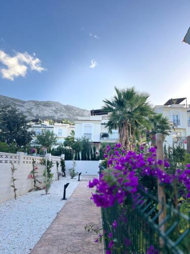Casa Montgo Denia in La Pedrera