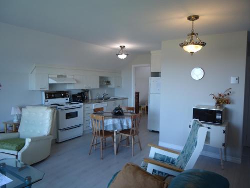 ห้องครัว, Domaine sur une plage in เซนต์ เฟลิเชี่ยน