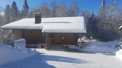 Hüttenzauber Ferienwohnung mitten im Nationalpark in Lindberg, Deutschland