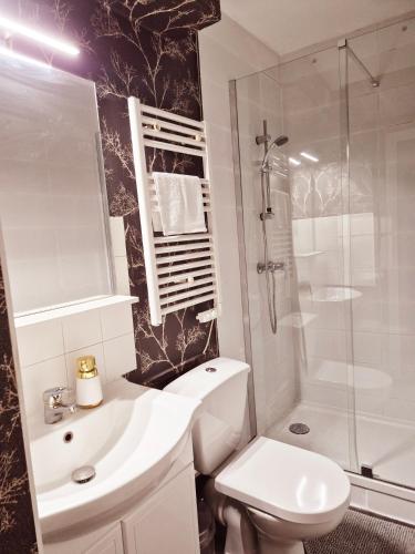 Baño, Eden Suite Bohème - CHU, Parc des Expos, Parking, Netflix (Eden Suite Boheme - CHU, Parc des Expos, Parking, Netflix) in Saint-Eloi