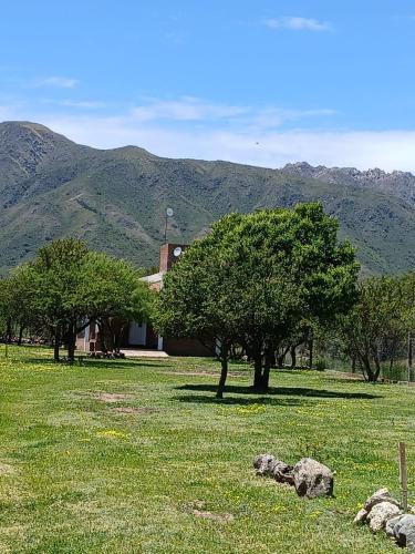 La Porteña (La Portena) in Cortaderas