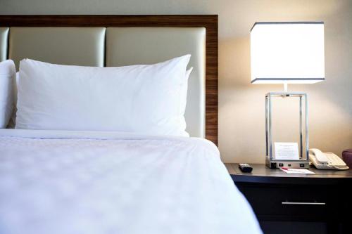 Crowne Plaza Atlanta Midtown an IHG Hotel - image 11