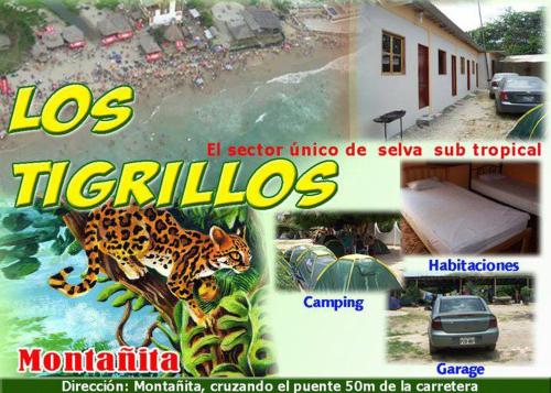 Los Tigrillos