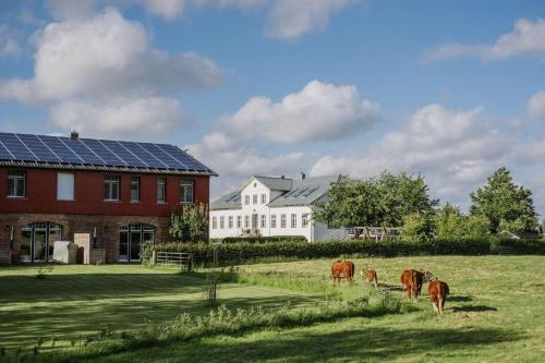Gut-Royum-Grosse-Diele in Brodersby (Schleswig-Holstein)