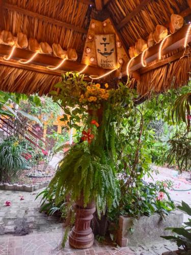 Casa Amelia in San Blas