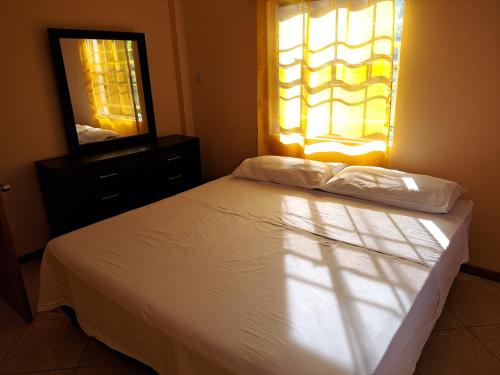 Parrot Heights in Анс-Лавуа