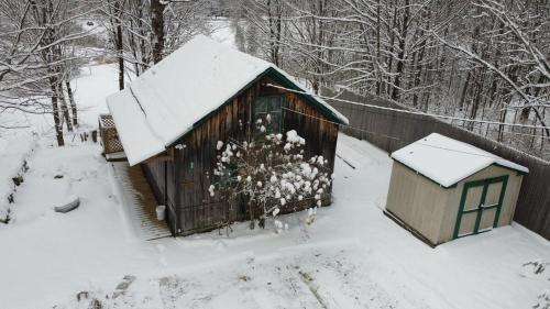 Pond View Cabin cabin in Chittenden, USA