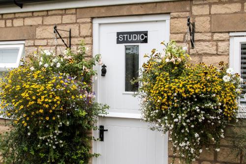 豪洛波特姆图片