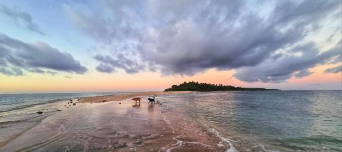 Fanifo Lofa in Uoleva Island