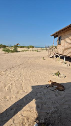 View, Terema Lodge in Sanyang