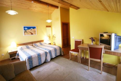 Vila Elvyra – Nida, CA