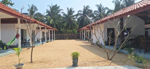 summer wave - Kalpitiya