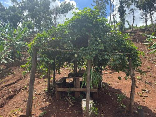 สวน, Twelve107 Farmstay in แสน มโนรม