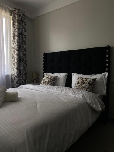 Candisi homes, studio 23 minutes to JKIA in Athi River