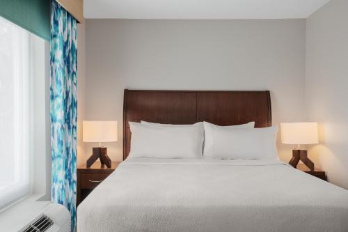 Hilton Garden Inn Tampa North - image 2