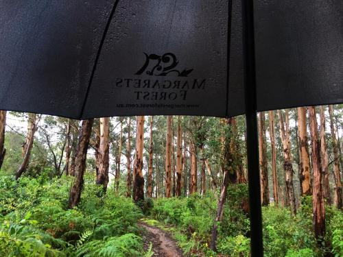 Margarets Forest, Margaret River