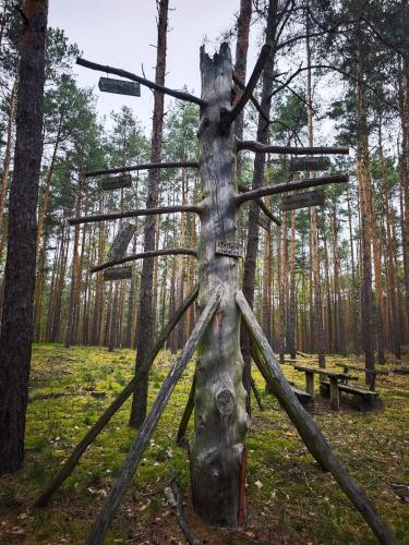 Iekārtas, Whispering Pines in Dahme/Mark