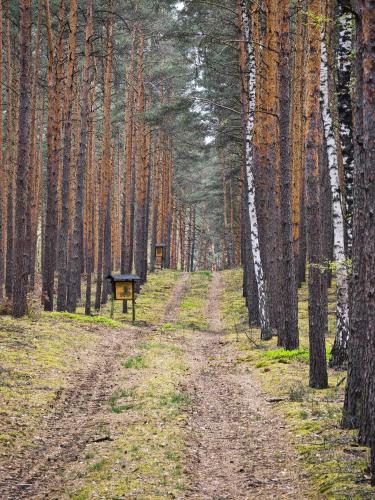 Iekārtas, Whispering Pines in Dahme/Mark