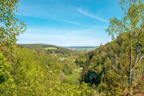 Vaade, Ferienholzhaus Füßmann im Ahorntal (Ferienholzhaus Fußmann im Ahorntal) in Ahorntal