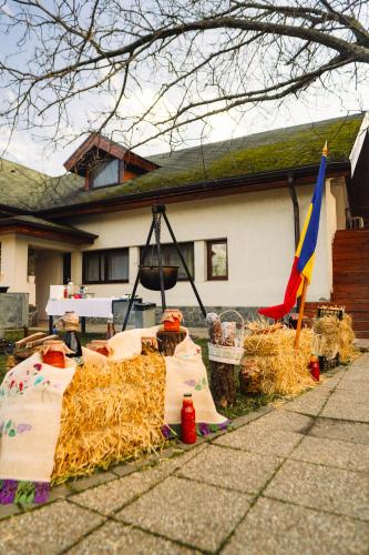 Градина, Acacia Village in Ciorogârla