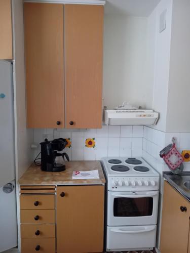 Kitchen, Rehoboth Apartment in Valkeakoski