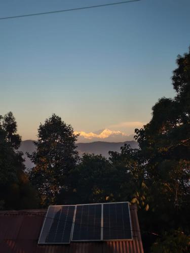 Blessings Homestay in Cart Road